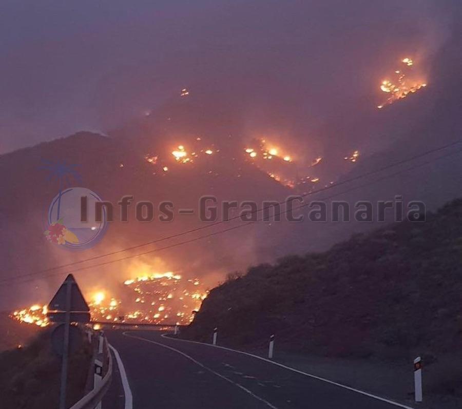 Waldbrand Gran Canaria Unter Kontrolle Nat Rliche Ursache