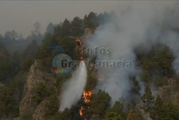 Feuer auf La Palma unter Kontrolle - 10 bis 20 Jahre Haft für Verursacher möglich