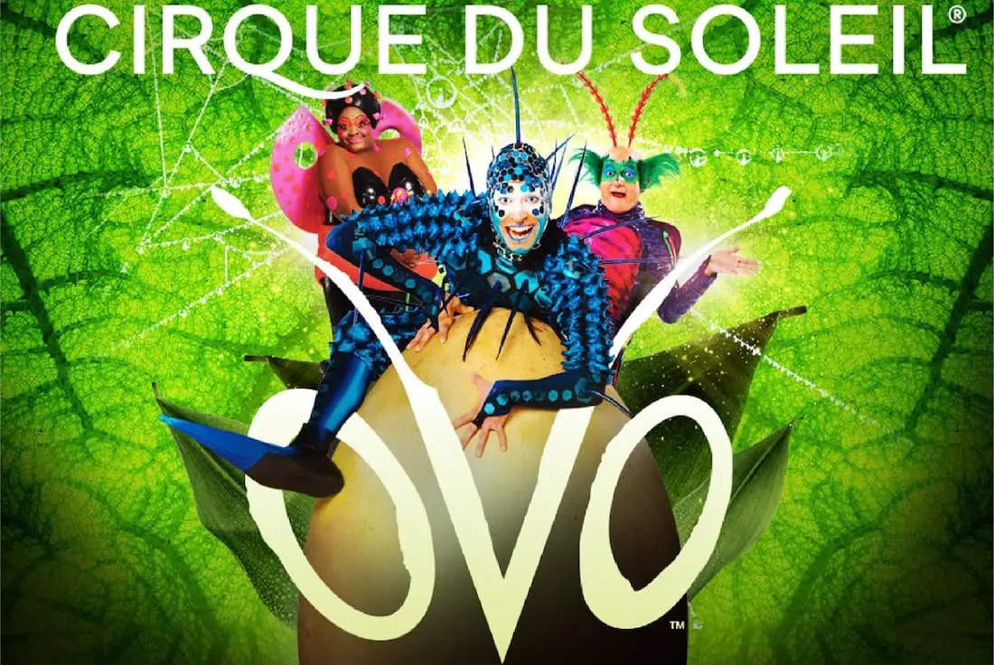 Cirque du Soleil OVO