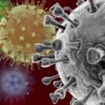 Coronavirus Statistik Kanaren: Nun schon über 276.000 Menschen genesen!