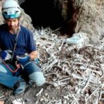 Grab Hoehle in Guayadeque untersucht EFE
