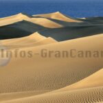 Maspalomas Duenen Cabildo de Gran Canaria