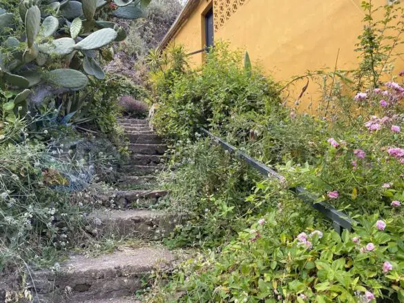 Die Treppe in Barranco de La Mina