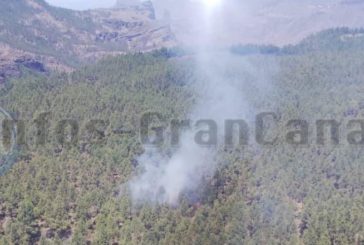Wieder gezielte Waldbrände auf Gran Canaria zu Brandbekämpfung