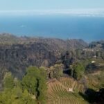 Waldbrand La Palma 2020 August unter kontrolle