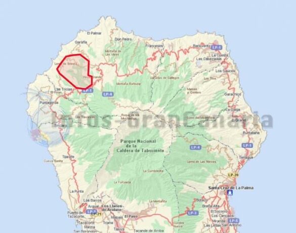 Waldbrand Zone La Palma 2020