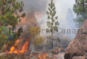 Waldbrand in Mogán ausgebrochen aber bereits stabilisiert