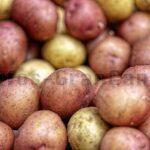 Kartoffeln auf den Kanaren