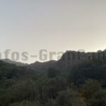 Wald auf Gran Canaria durch Kameras überwacht