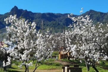 Valsequillo sagt Mandelblütenfest 2022 aufgrund der Pandemie erneut ab