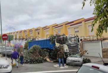 LKW rammt mehrere Autos und reißt Baum nieder
