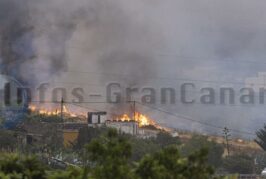 Feuer in den Bergen von Santa Maria de Guía ausgebrochen - Unter Kontrolle!