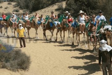 Die Kamel-Touren in den Dünen Maspalomas sollen laut Küstenbehörde verschwinden