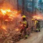 Waldbrand Bekämpfung