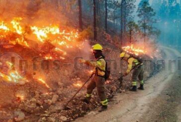 Vorwarnung für Waldbrände auf Gran Canaria herausgegeben