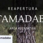 Tamadaba wieder voll in Betrieb