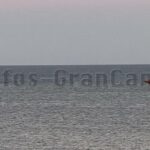 Suche per Heli und Schiff im Meer by La Provincia