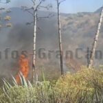 Feuer auf Gran Canaria - El Sequero