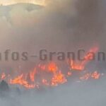 Waldbrand La Palma IFPuntagorda