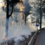 Gezielte Waldbrände auf Gran Canaria
