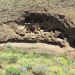 Cuevas de Palomar in Ingenio