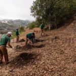 Erster Waldfriedhof auf Gran Canaria