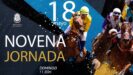 Pferderennen Valleseco Mai 2025