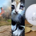 Wochenrückblick vom 4. Mai 2025