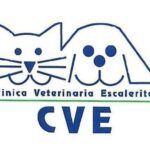 Tierarzt Escaleritas