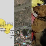 Wochenrückblick-4-1-26