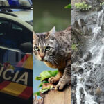 Wochenrückblick-15-2-26