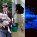 Gran Canaria vor 10 Jahren April-2016