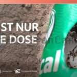 Eidechse in der Dose