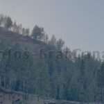 Waldbrand-Zone-Valleseco