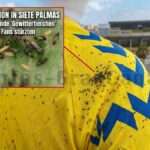 Gewittertierchen UD Las Palmas