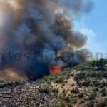 Waldbrand Gran Canaria Cazadores September 2026