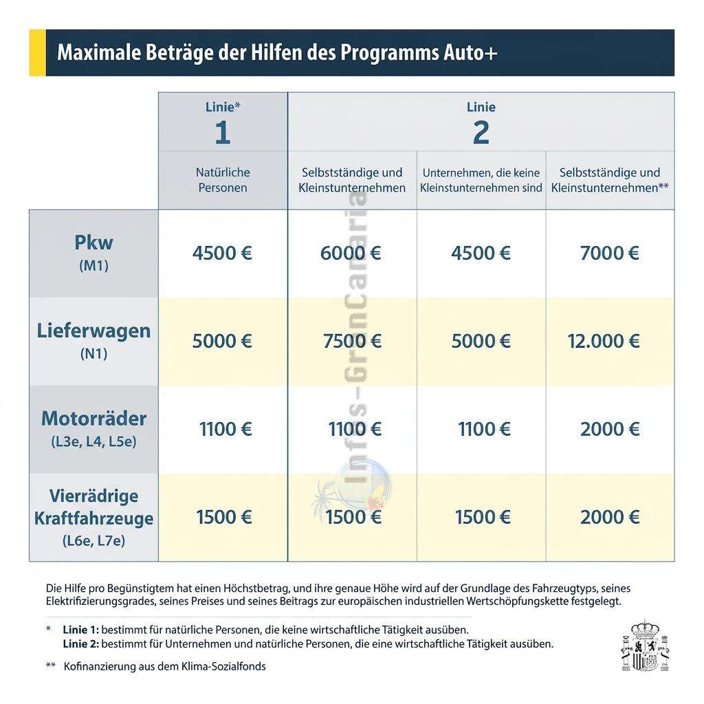 Zuschüsse bei Auto+